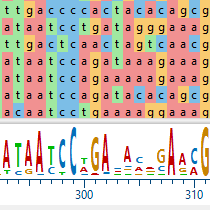 Phylogenetic-Step-1 Phylogenetic Analysis Step 1